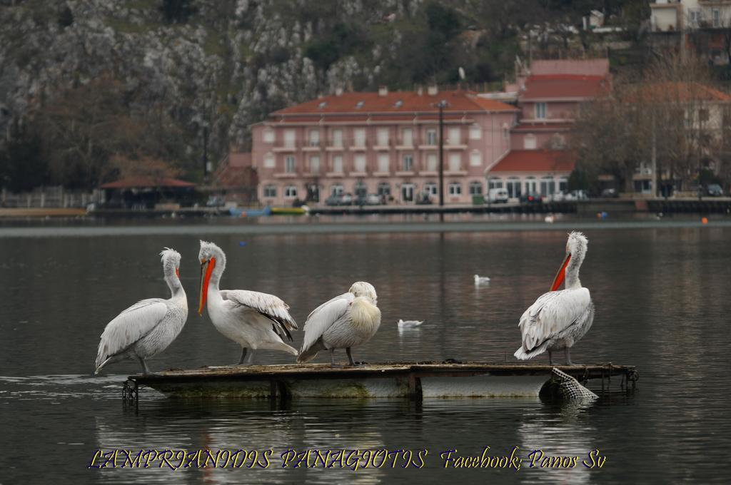 Hotel Kastoria In Kastoria City Екстериор снимка