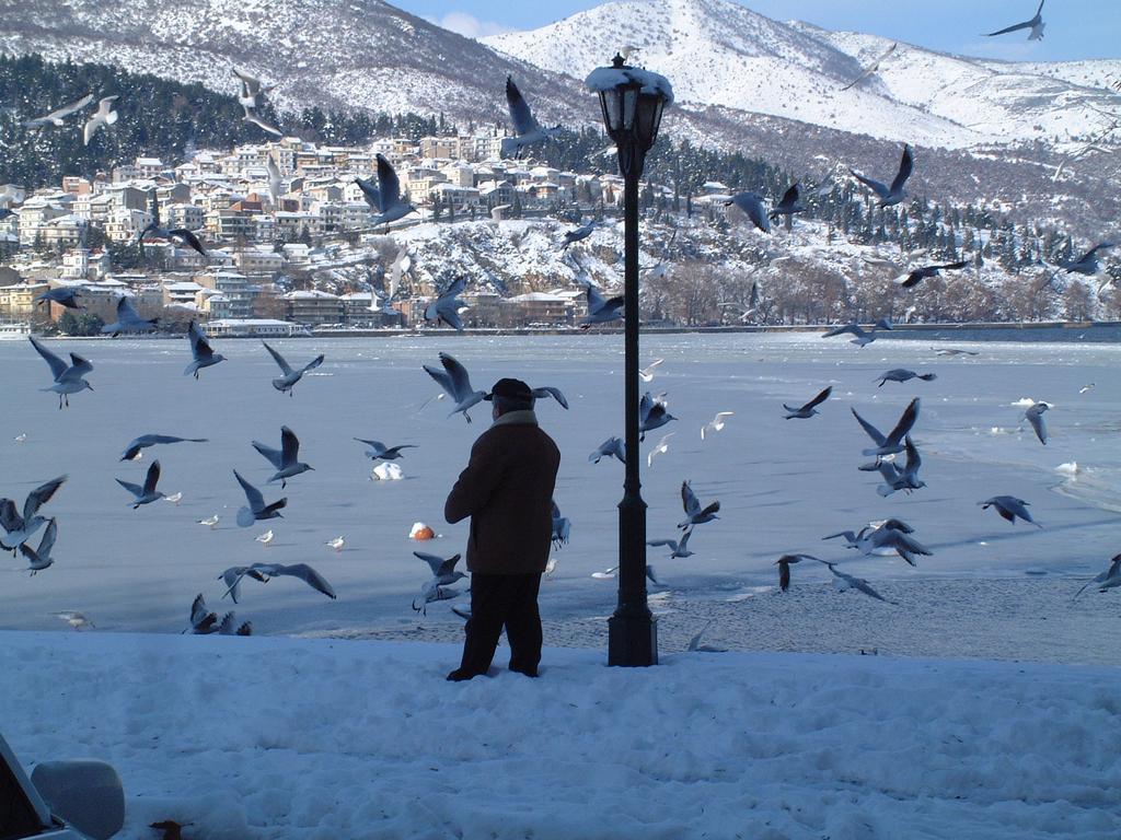 Hotel Kastoria In Kastoria City Екстериор снимка